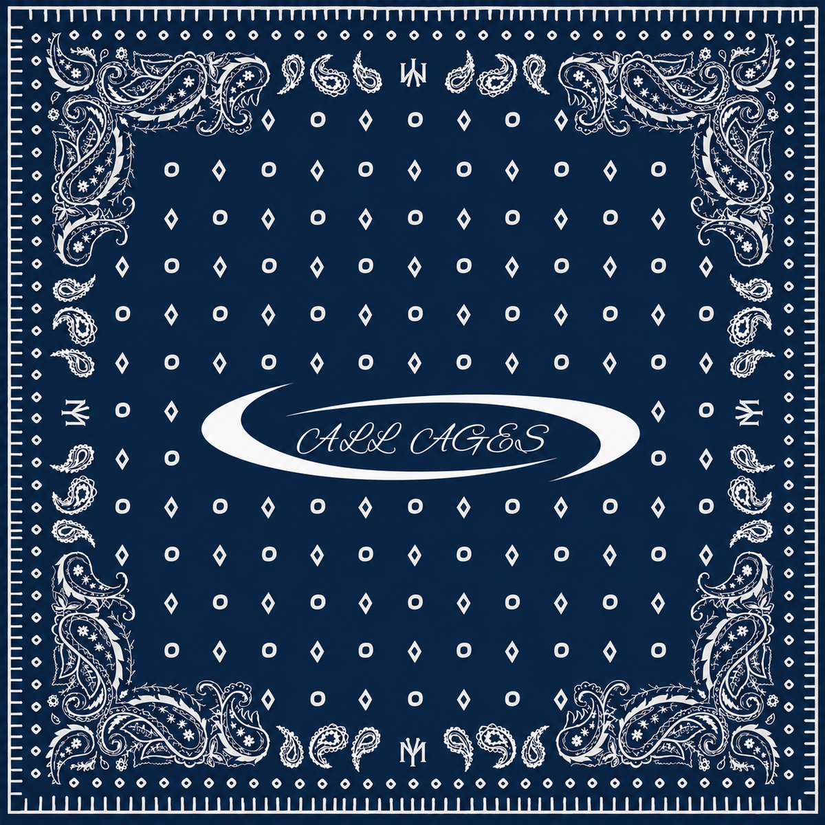 SILK PATTERNED SCARF
